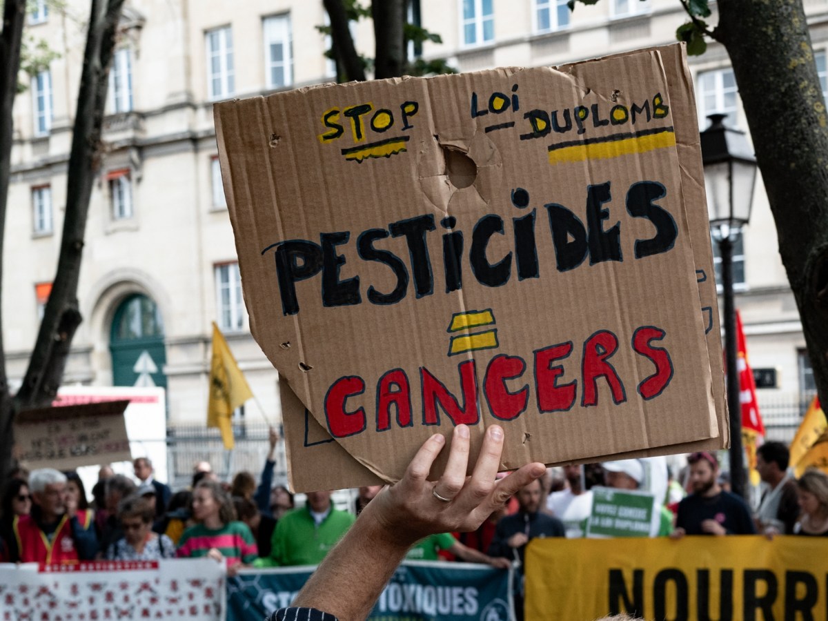 Mensonges, pesticides et profit : la loi Duplomb ou loi de la&nbsp;honte.